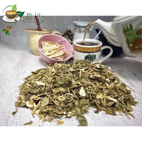 Anamu Guinea Henweed/ Petiveria alliacea L