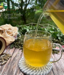 moringa leaf tea