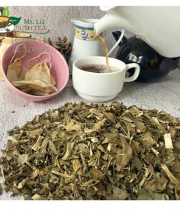 Breadfruit Leaves (Artocarpus Altilis)