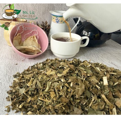 Breadfruit Leaves (Artocarpus Altilis)