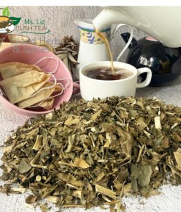breadfruit leaf tea breadfruit leaf herbal tea