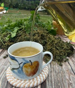 cerasee jamaican tea