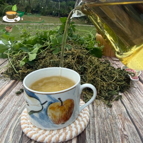cerasee jamaican tea