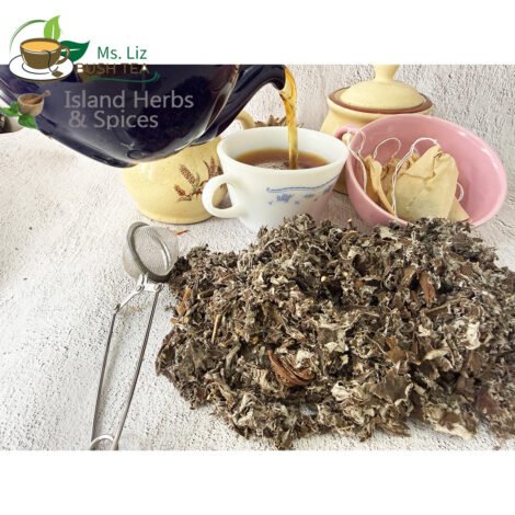 trumpet leaf tea support kidney