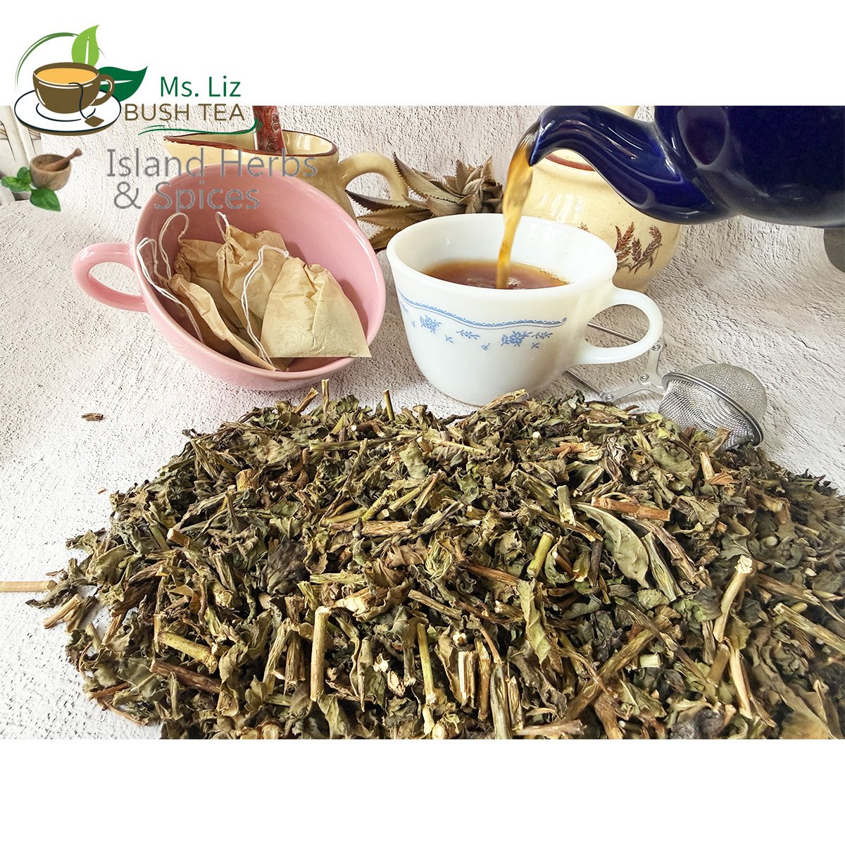 Jamaican Blue Vervain