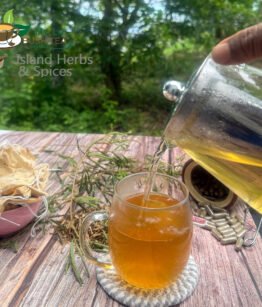 Shama Macka – Sensitiva (Mimosa Pudica)