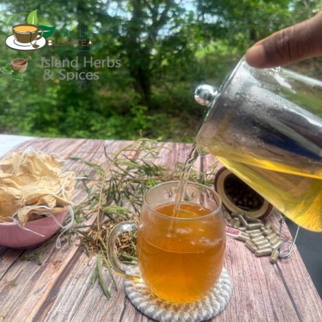 Shama Macka – Sensitiva (Mimosa Pudica)
