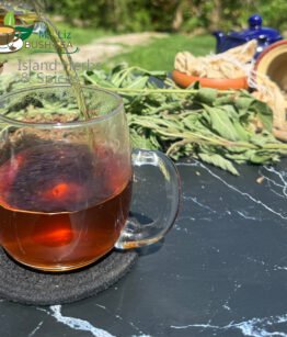 Tulsi, Vana - Holy Basil (Ocimum gratissimum)