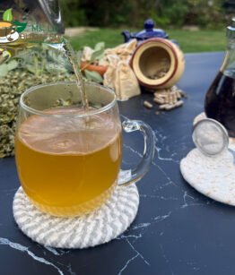 Gliricidia sepium, Mexican Lilac, Quick Stick, Herb for Cold and Flu