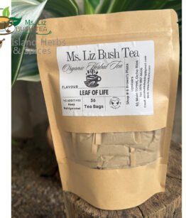 Farm Grown Leaf of Life Tea Bags – Organic Bryophyllum Pinnatum Herbal Tea 36 Bags