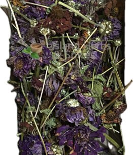 Organic Dried Zinnia Buds for Herbal Tea – Natural Wellness from Farm Grown Flowers